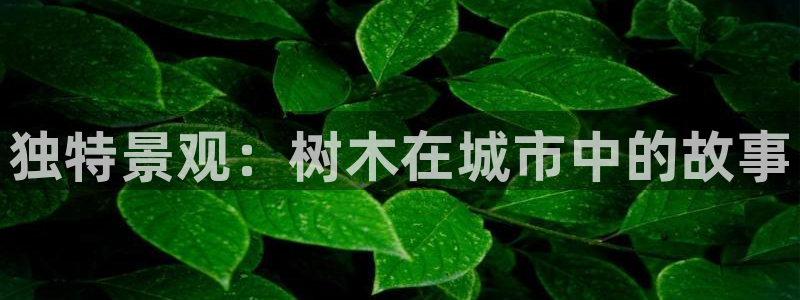新宝gg登陆:独特景观:树木在城市中的故事