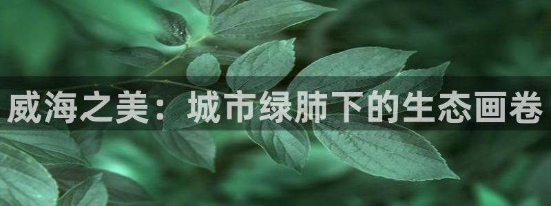 新宝GG程355051:威海之美:城市绿肺下的生态画卷
