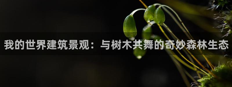 新宝GG53339咨询新宝GG:我的世界建筑景观:与树木共舞的奇妙森林生态