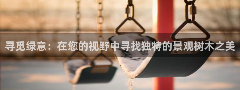 新宝gg群:寻觅绿意:在您的视野中寻找独特的景观树木之美