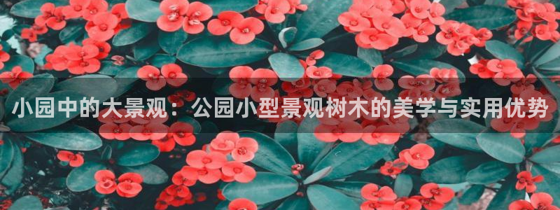 新宝gg 首页:小园中的大景观:公园小型景观树木的美学与实用优势