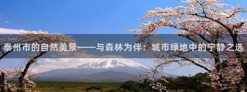 新宝gg 彩票:泰州市的自然美景——与森林为伴:城市绿地中的宁静之选